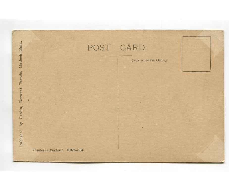 Gardens Matlock Bath vintage postcard